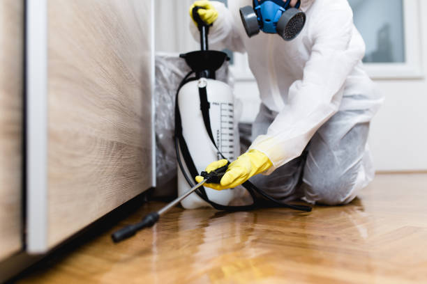Flea Control Services in Fairfield, CA