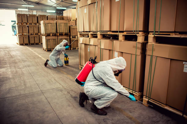 Best Affordable Pest Control Services  in Fairfield, CA