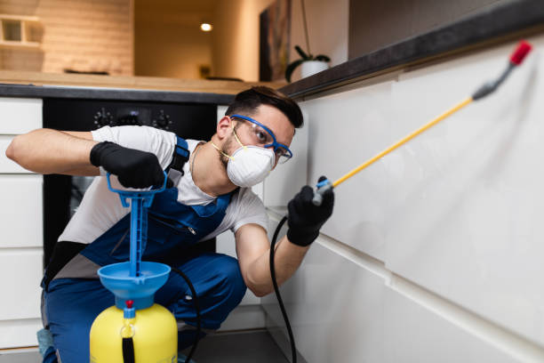 Best Residential Pest Control  in Fairfield, CA