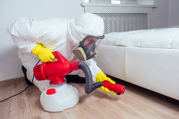 Best Rat Extermination Near Me  in Fairfield, CA