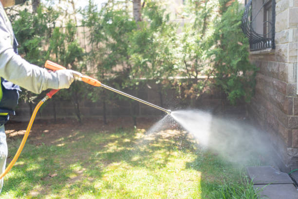 Best Insect Control  in Fairfield, CA