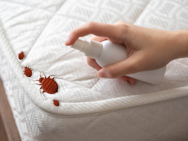 Fairfield, CA Pest Control Company