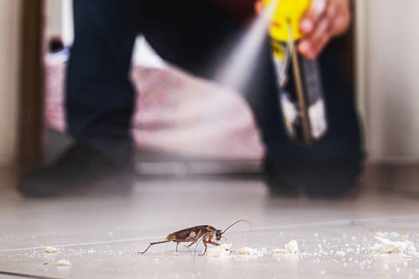Best Exterminator Services  in Fairfield, CA