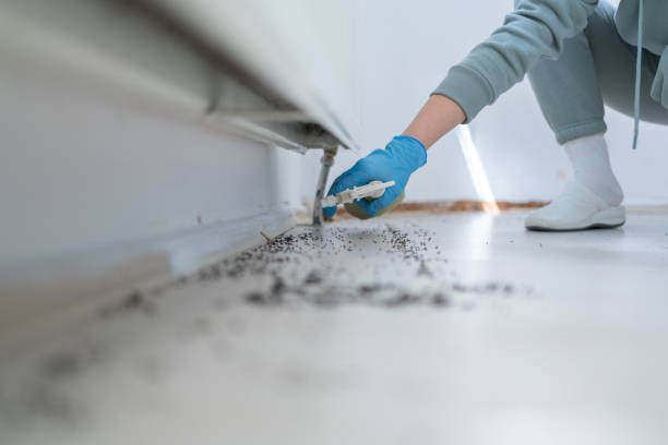 Best Best Pest Control Companies  in Fairfield, CA