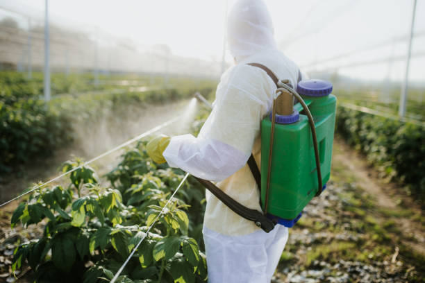 Best Pest Removal Services  in Fairfield, CA